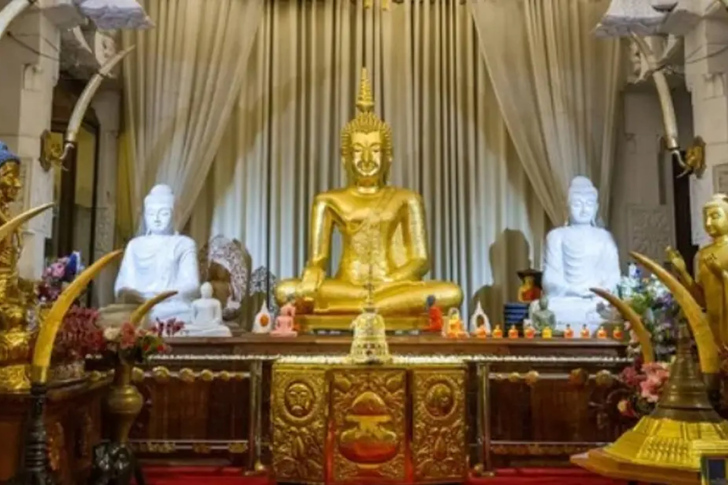 Temple of The Sacred Tooth Relic Entrance Ticket